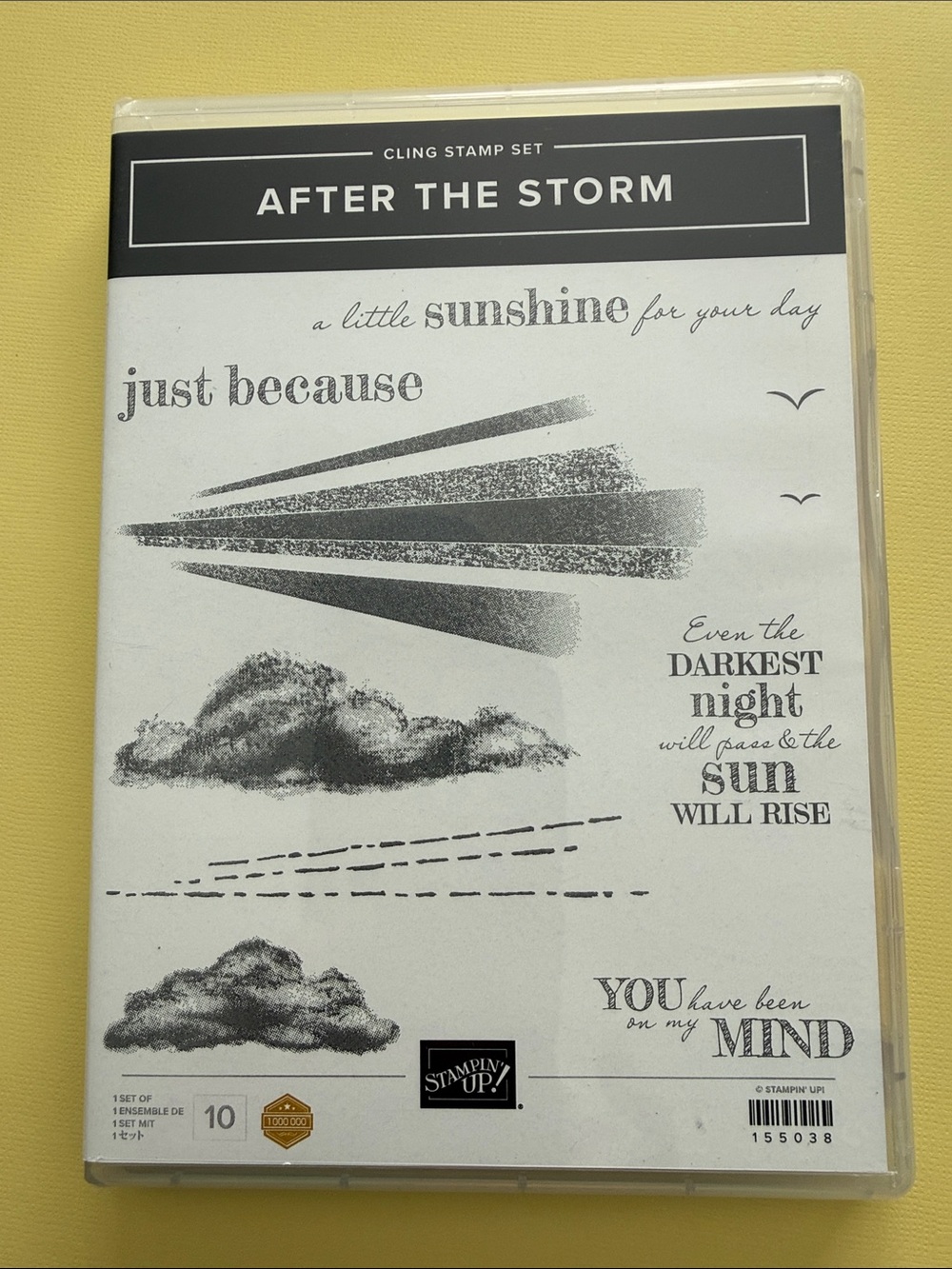 Stampin' Up! After The Storm Stamp Set
